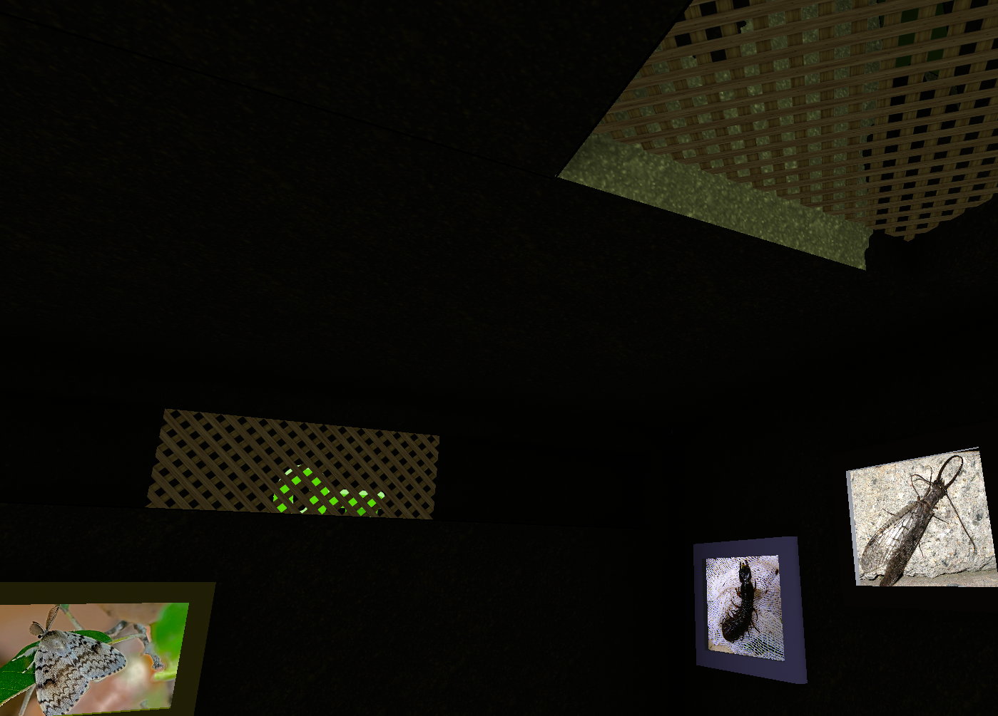 Pictures/The undergarden.png